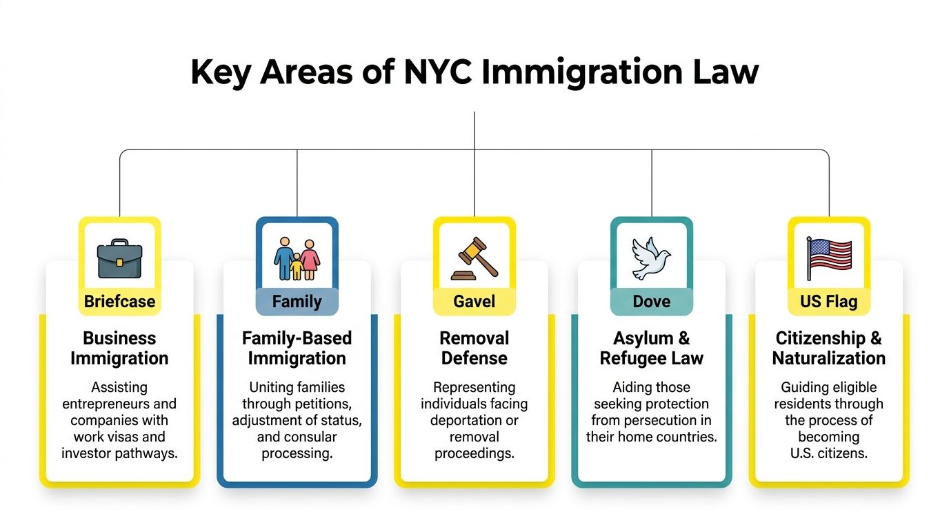A chart illustrating five key areas of NYC immigration law, including business, family, removal, asylum, and citizenship.